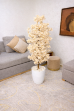 شجرة هيدرانجيا – Image 8