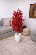 شجرة هيدرانجيا – Image 7