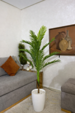 نخلة فاخرة – Image 7