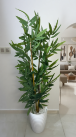 شجرة البامبو جدع طبيعي💯% – Image 3