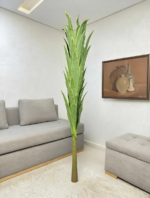 شجرة دراكيينا سونغ أوف إنديا(Dracaena reflexa 'Variegat – Image 9