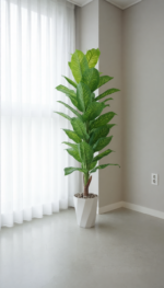 شجرة الموز الفاخرة – Image 7