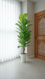 شجرة الموز الفاخرة – Image 5