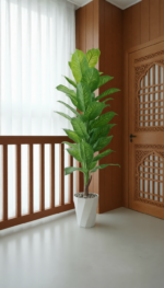 شجرة الموز الفاخرة – Image 2