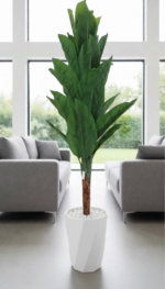 شجرة الموز الفاخرة – Image 4