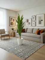 شجرة دراكيينا – Image 2