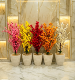 شجرة اللوز – Image 13