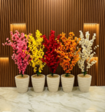 شجرة اللوز – Image 14