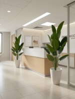 شجرة الموز – Image 4