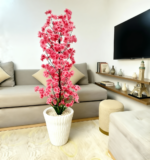 شجرة الكرز ساكورا بجدع طبيعي 💯% – Image 2