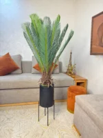 شجرة نخل ساجو