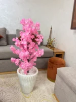 شجرة الكرز ساكورا جدع طبيعي 💯%