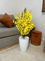 شجرة اللوز
