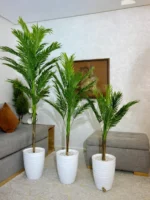 نخلة فاخرة