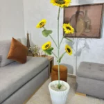شجرة عباد الشمش
