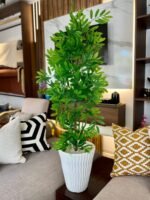 شجرة الزيتون جدع طبيعي 💯% – Image 3