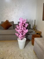 شجرة الكرز ساكورا جدع طبيعي 💯% – Image 2