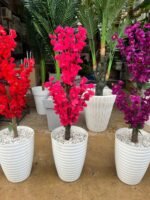 شجرة اللوز – Image 8