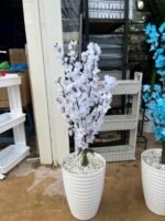 شجرة اللوز – Image 11