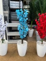 شجرة اللوز – Image 12