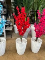 شجرة اللوز – Image 9