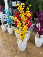 شجرة اللوز – Image 7