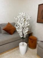 شجرة اللوز – Image 17