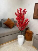 شجرة اللوز – Image 6