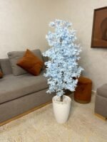 شجرة هيدرانجيا – Image 5