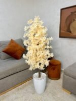 شجرة هيدرانجيا – Image 4