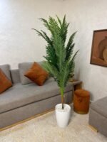 نخلة فاخرة – Image 5