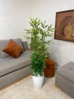 شجرة البامبو جدع طبيعي💯% – Image 9