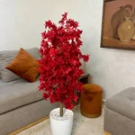 شجرة هيدرانجيا