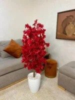 شجرة هيدرانجيا