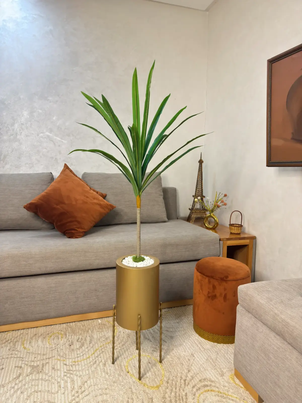 dd3s شجرة دراكينا مارجينات – Image 1