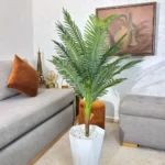 شجرة نخل فاخرة