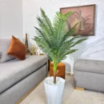 شجرة نخل فاخرة