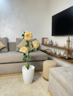 وردة بيونيا ( موبرا)