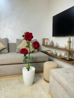 وردة بيونيا ( موبرا) – Image 3