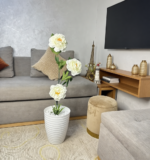 وردة بيونيا ( موبرا) – Image 6