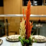 باك 3 + 1 هدية