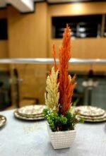 باك 3 + 1 هدية