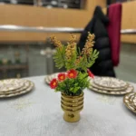 باك 2 + 1 هدية
