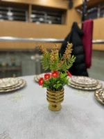 باك 2 + 1 هدية