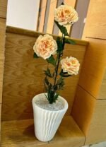 وردة بيونيا ( موبرا) – Image 9