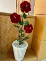 وردة بيونيا ( موبرا) – Image 8