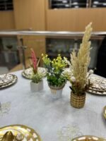 باك 2 + 1 هدية – Image 2