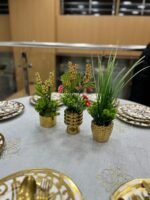 باك 2 + 1 هدية – Image 6