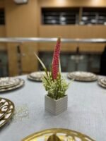 باك 2 + 1 هدية – Image 7