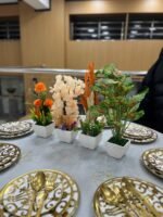 باك 3 + 1 هدية – Image 3